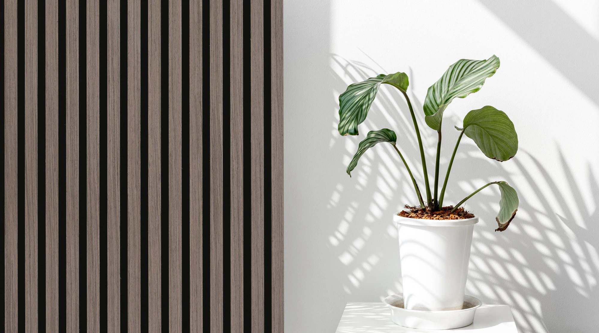 Wood4wall Walnut 600x2400 mm