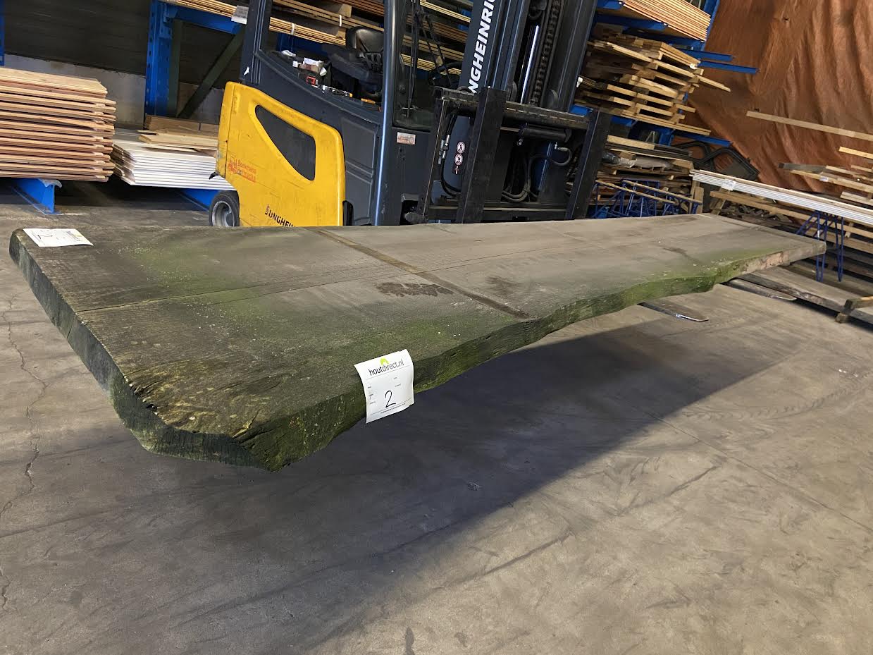 Vuren boomstam blad #2